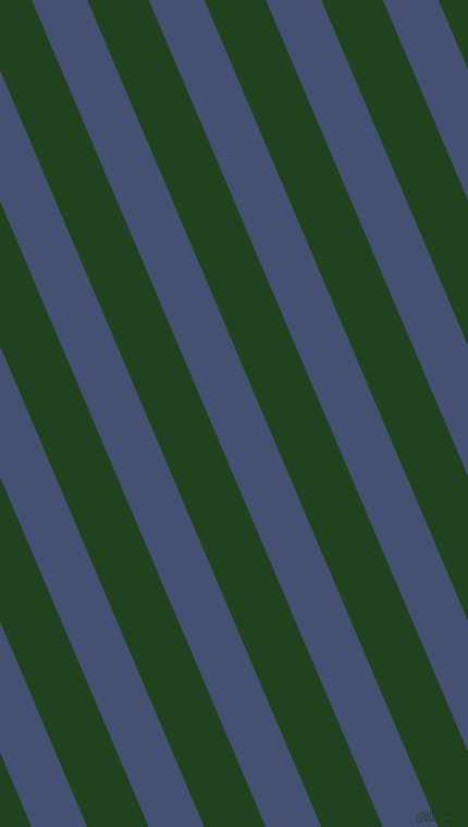 113 degree angle lines stripes, 47 pixel line width, 52 pixel line spacing, Astronaut and Myrtle angled lines and stripes seamless tileable