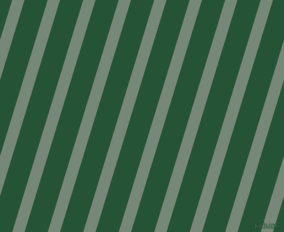 73 degree angle lines stripes, 17 pixel line width, 32 pixel line spacing, Davy