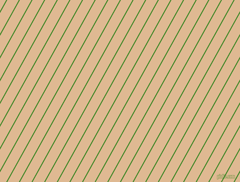 61 degree angle lines stripes, 2 pixel line width, 20 pixel line spacing, La Palma and Pancho angled lines and stripes seamless tileable