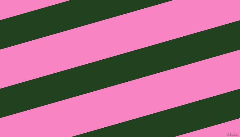 16 degree angle lines stripes, 91 pixel line width, 121 pixel line spacing, Myrtle and Tea Rose angled lines and stripes seamless tileable