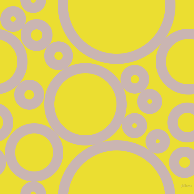 bubbles, circles, sponge, big, medium, small, 33 pixel line width, Cold Turkey and Golden Fizz circles bubbles sponge soap seamless tileable