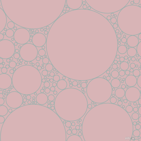 bubbles, circles, sponge, big, medium, small, 2 pixel line width, Conch and Pink Flare circles bubbles sponge soap seamless tileable