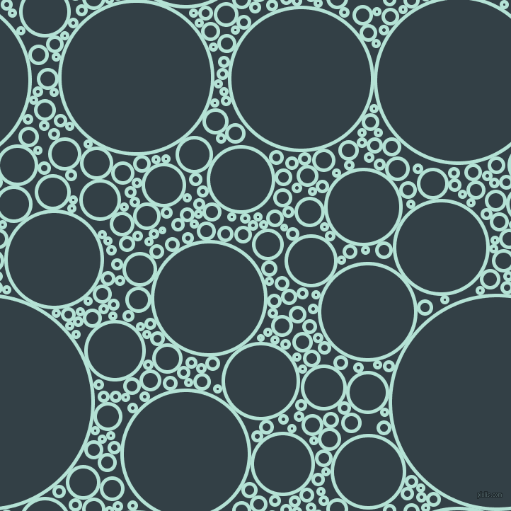 bubbles, circles, sponge, big, medium, small, 5 pixel line width, Cruise and Big Stone circles bubbles sponge soap seamless tileable