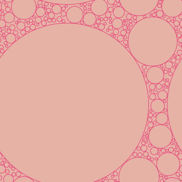 bubbles, circles, sponge, big, medium, small, 2 pixel line width, Dark Pink and Shilo circles bubbles sponge soap seamless tileable