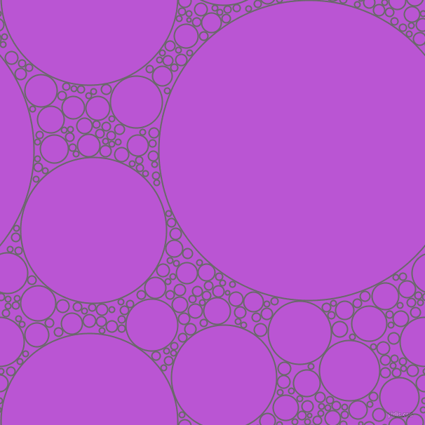 bubbles, circles, sponge, big, medium, small, 2 pixel line width, Dim Gray and Medium Orchid circles bubbles sponge soap seamless tileable