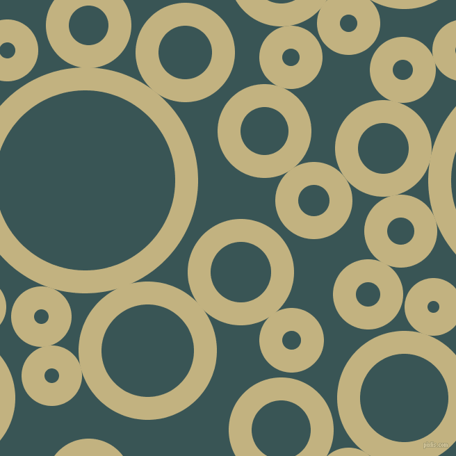 bubbles, circles, sponge, big, medium, small, 33 pixel line width, Ecru and Oracle circles bubbles sponge soap seamless tileable