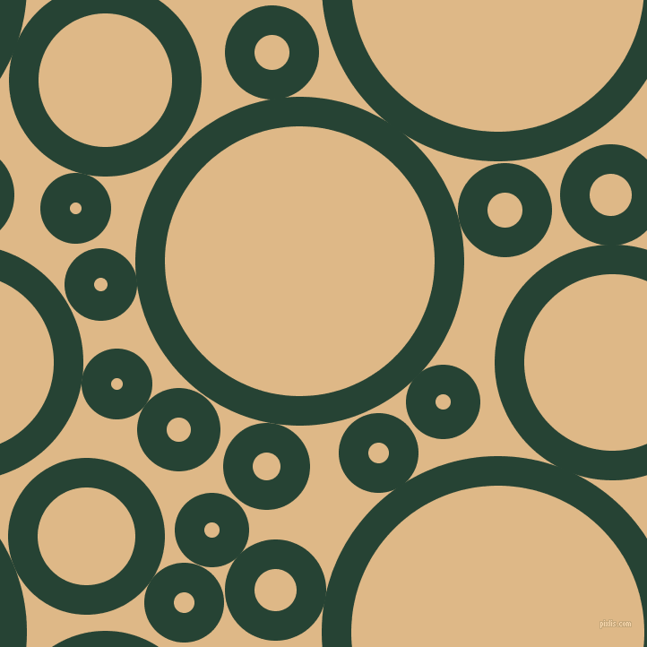 bubbles, circles, sponge, big, medium, small, 33 pixel line width, Everglade and Burly Wood circles bubbles sponge soap seamless tileable