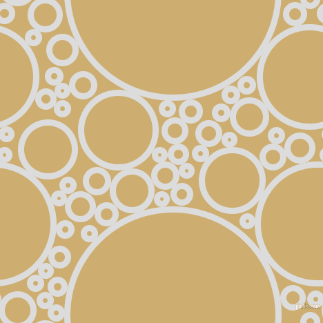 bubbles, circles, sponge, big, medium, small, 9 pixel line width, Gainsboro and Putty circles bubbles sponge soap seamless tileable