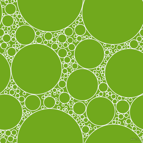 bubbles, circles, sponge, big, medium, small, 2 pixel line width, Ghost White and Christi circles bubbles sponge soap seamless tileable