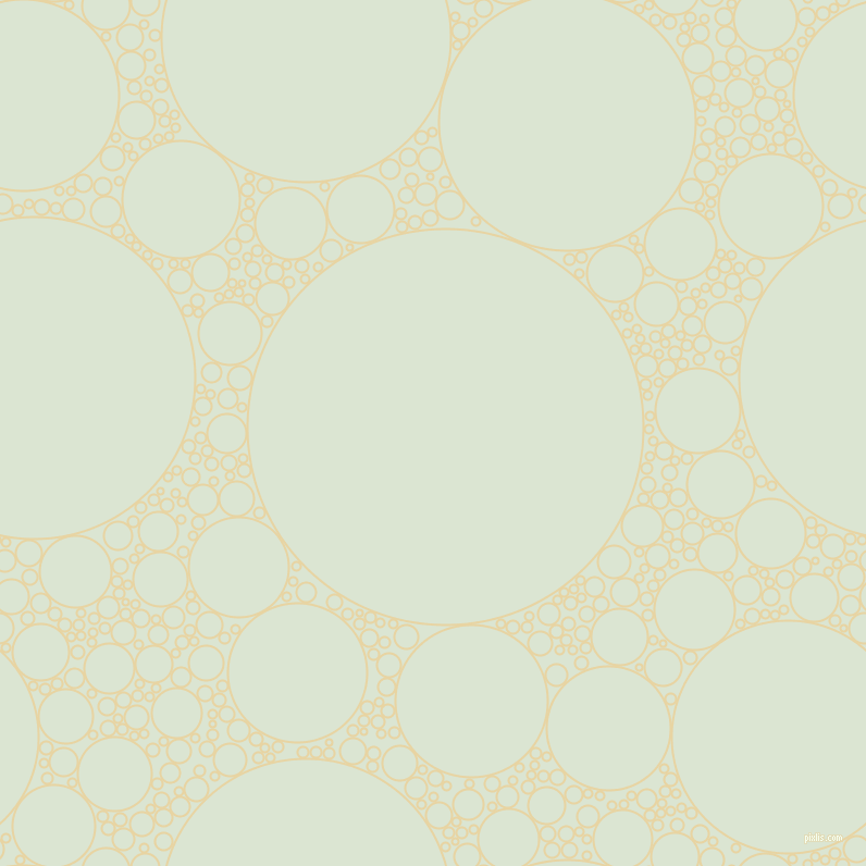 bubbles, circles, sponge, big, medium, small, 2 pixel line width, Hampton and Frostee circles bubbles sponge soap seamless tileable