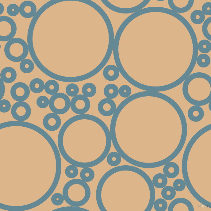 bubbles, circles, sponge, big, medium, small, 17 pixel line width, Horizon and Brandy circles bubbles sponge soap seamless tileable