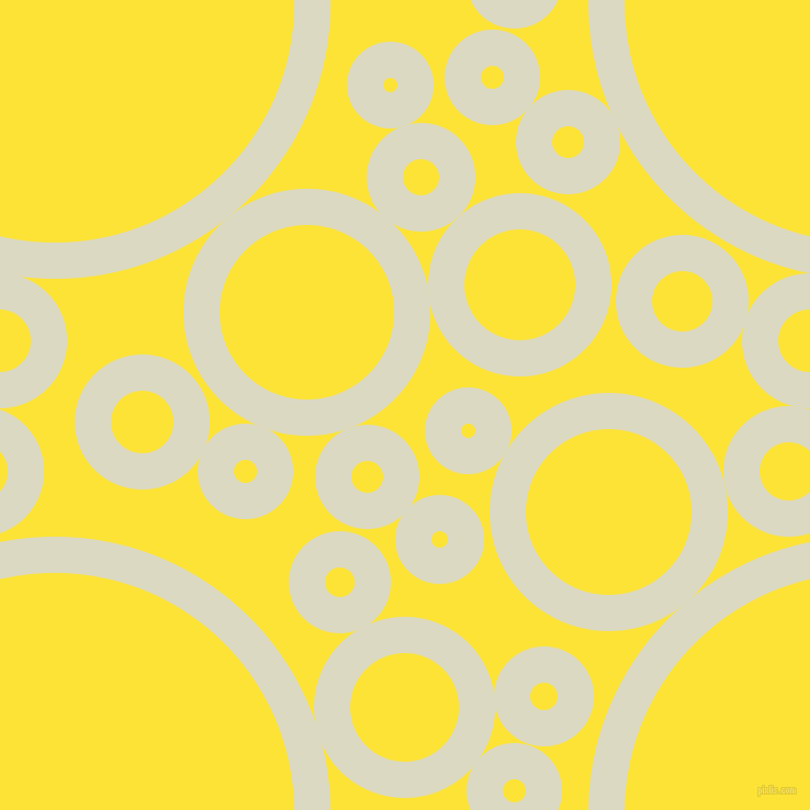 bubbles, circles, sponge, big, medium, small, 33 pixel line width, Loafer and Gorse circles bubbles sponge soap seamless tileable