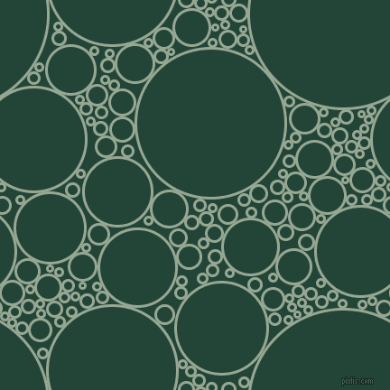 bubbles, circles, sponge, big, medium, small, 3 pixel line width, Mantle and Burnham circles bubbles sponge soap seamless tileable