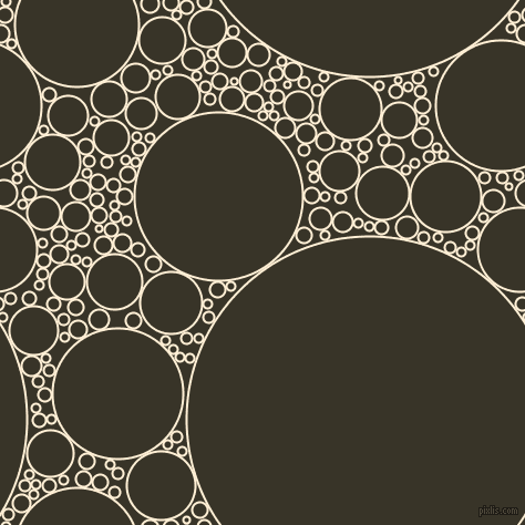 bubbles, circles, sponge, big, medium, small, 2 pixel line width, Papaya Whip and Graphite circles bubbles sponge soap seamless tileable