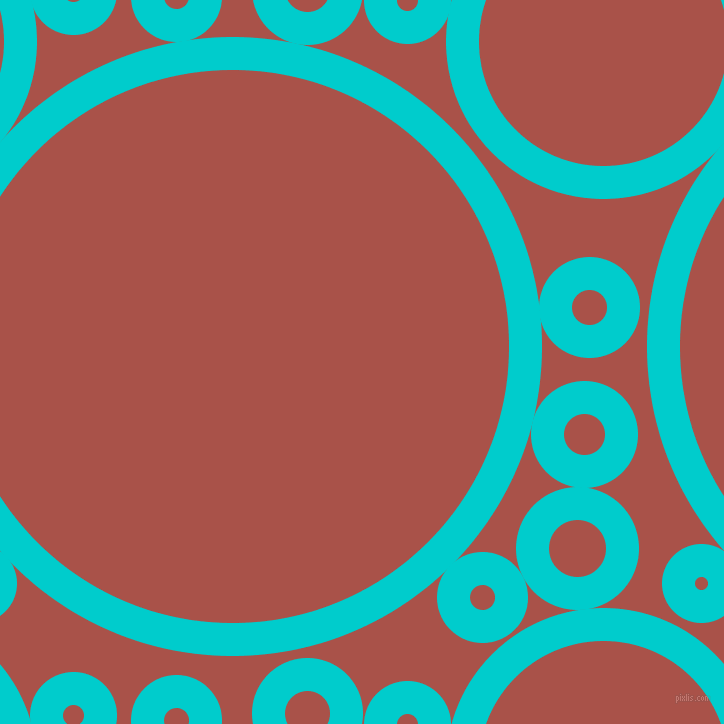 bubbles, circles, sponge, big, medium, small, 33 pixel line width, Robin