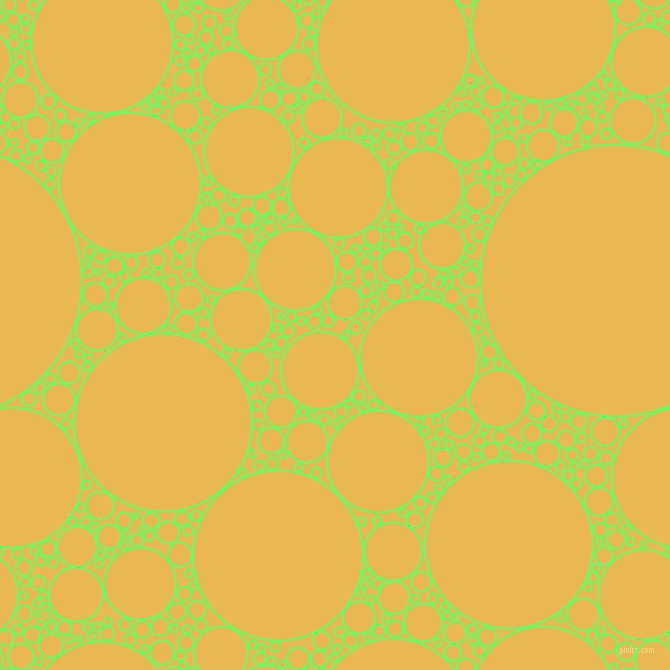 bubbles, circles, sponge, big, medium, small, 2 pixel line width, Screamin