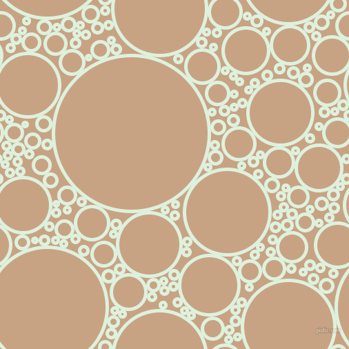 bubbles, circles, sponge, big, medium, small, 5 pixel line width, Tara and Rodeo Dust circles bubbles sponge soap seamless tileable