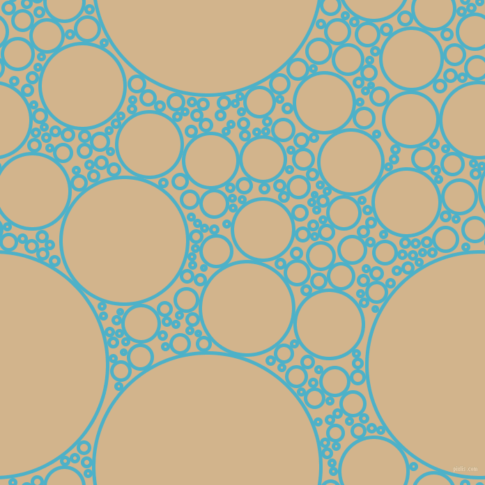 bubbles, circles, sponge, big, medium, small, 5 pixel line width, Viking and Tan circles bubbles sponge soap seamless tileable
