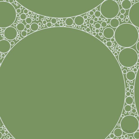 bubbles, circles, sponge, big, medium, small, 2 pixel line width, Zircon and Highland circles bubbles sponge soap seamless tileable