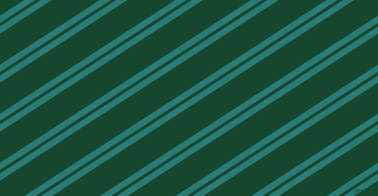 33 degree angle dual stripes lines, 12 pixel lines width, 6 and 52 pixel line spacing, dual two line striped seamless tileable