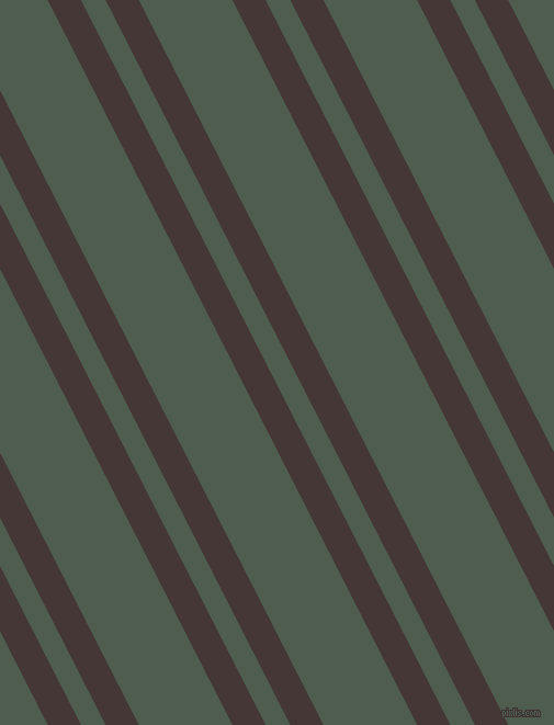 117 degree angle dual striped line, 27 pixel line width, 20 and 76 pixel line spacing, Cowboy and Nandor dual two line striped seamless tileable
