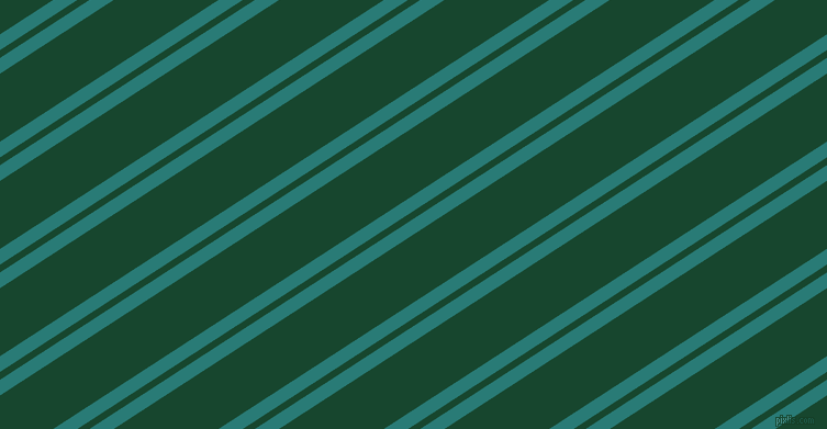 33 degree angle dual stripes lines, 12 pixel lines width, 6 and 52 pixel line spacingElm and Zuccini dual two line striped seamless tileable