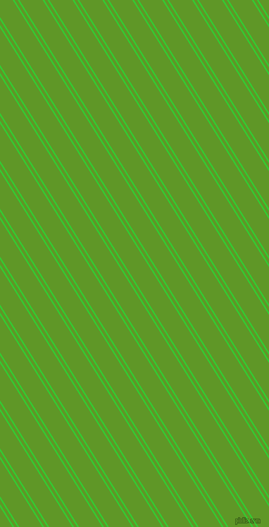 122 degree angle dual striped line, 2 pixel line width, 4 and 28 pixel line spacing, Lime Green and Limeade dual two line striped seamless tileable