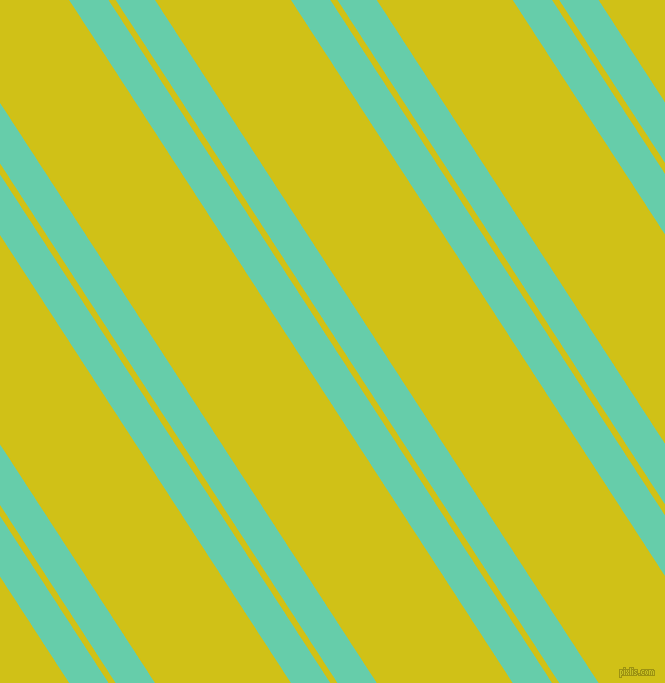 123 degree angle dual striped line, 33 pixel line width, 6 and 114 pixel line spacing, Medium Aquamarine and Bird Flower dual two line striped seamless tileable