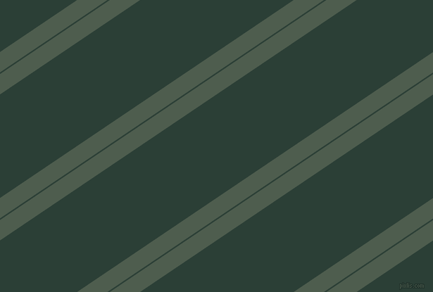 34 degree angle dual stripe line, 24 pixel line width, 2 and 122 pixel line spacing, Nandor and Celtic dual two line striped seamless tileable