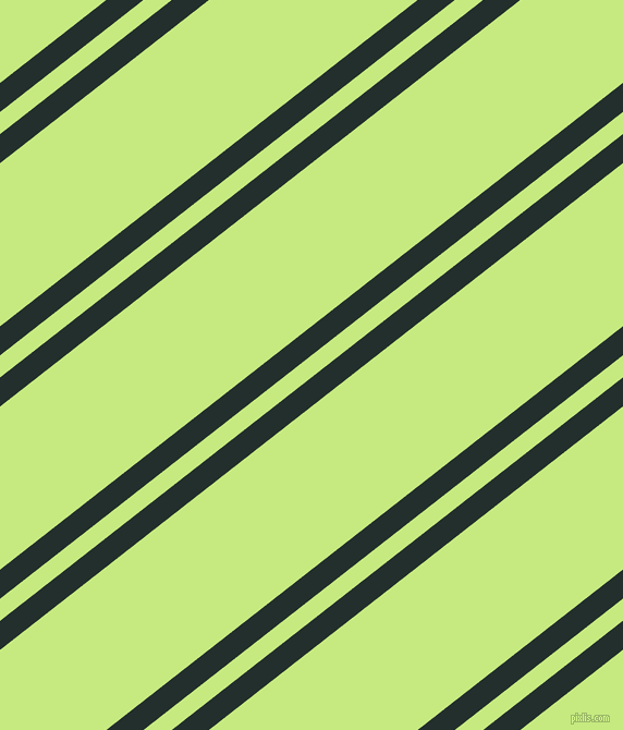 38 degree angles dual stripe lines, 21 pixel lines width, 16 and 118 pixels line spacing, Racing Green and Sulu dual two line striped seamless tileable