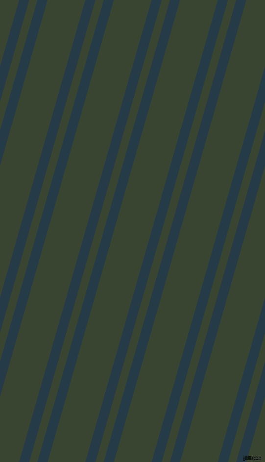 74 degree angles dual stripes lines, 20 pixel lines width, 16 and 74 pixels line spacingTarawera and Mallard dual two line striped seamless tileable