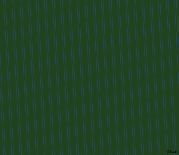 93 degree angles dual stripes line, 2 pixel line width, 4 and 19 pixels line spacing, Teal Blue and Myrtle dual two line striped seamless tileable