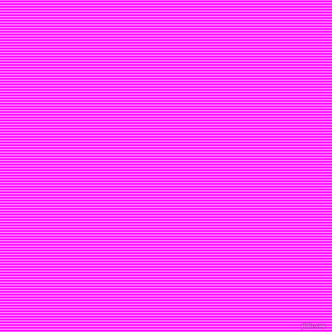 horizontal lines stripes, 2 pixel line width, 2 pixel line spacing, Fuchsia Pink and Magenta horizontal lines and stripes seamless tileable