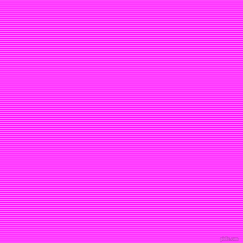 horizontal lines stripes, 2 pixel line width, 2 pixel line spacing, Magenta and Fuchsia Pink horizontal lines and stripes seamless tileable