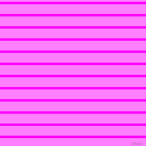 horizontal lines stripes, 8 pixel line width, 32 pixel line spacing, Magenta and Fuchsia Pink horizontal lines and stripes seamless tileable