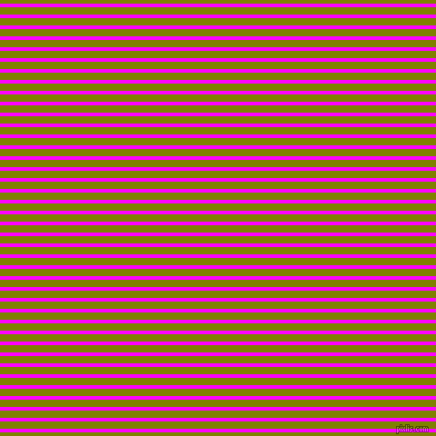 horizontal lines stripes, 4 pixel line width, 8 pixel line spacing, Magenta and Olive horizontal lines and stripes seamless tileable