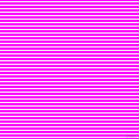 horizontal lines stripes, 4 pixel line width, 8 pixel line spacing, White and Magenta horizontal lines and stripes seamless tileable