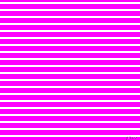horizontal lines stripes, 8 pixel line width, 16 pixel line spacing, White and Magenta horizontal lines and stripes seamless tileable