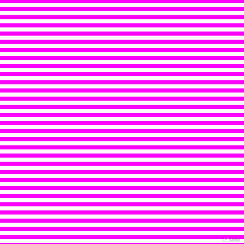 horizontal lines stripes, 8 pixel line width, 8 pixel line spacing, White and Magenta horizontal lines and stripes seamless tileable