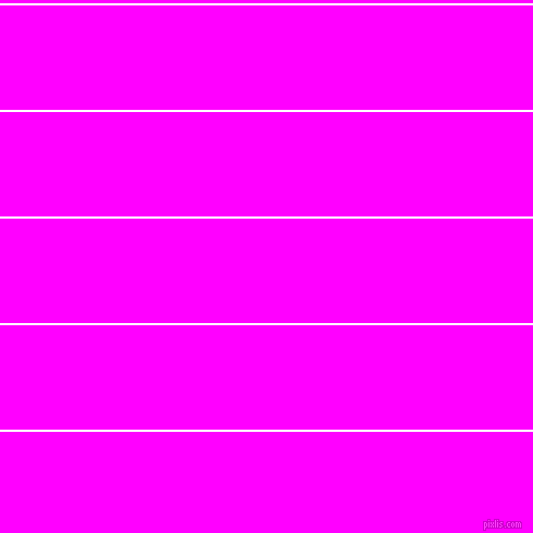 horizontal lines stripes, 2 pixel line width, 96 pixel line spacing, White and Magenta horizontal lines and stripes seamless tileable
