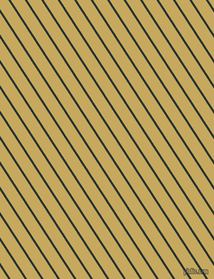 123 degree angle lines stripes, 3 pixel line width, 17 pixel line spacing, Aztec and Laser stripes and lines seamless tileable