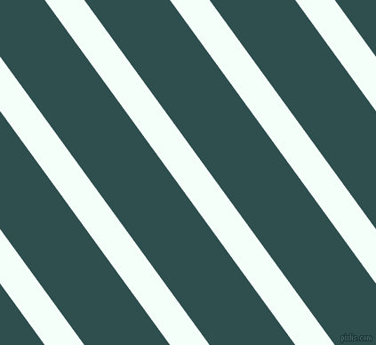 126 degree angle lines stripes, 36 pixel line width, 78 pixel line spacing, Mint Cream and Dark Slate Grey stripes and lines seamless tileable