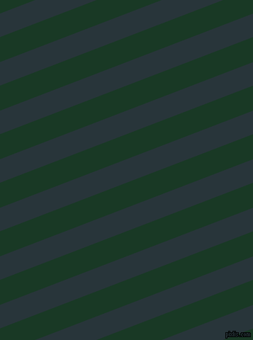 21 degree angle lines stripes, 31 pixel line width, 33 pixel line spacing, Oxford Blue and Deep Fir stripes and lines seamless tileable