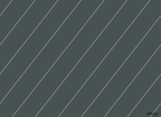 52 degree angle lines stripes, 2 pixel line width, 59 pixel line spacing, Sandrift and Dark Slate stripes and lines seamless tileable