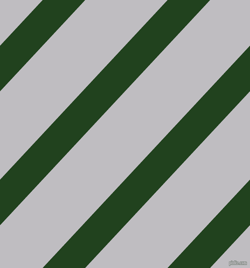 47 degree angle lines stripes, 62 pixel line width, 120 pixel line spacing, Myrtle and French Grey angled lines and stripes seamless tileable