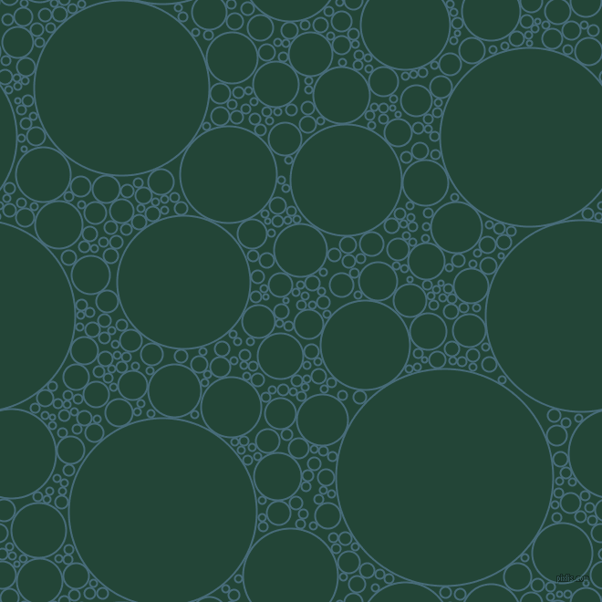 bubbles, circles, sponge, big, medium, small, 2 pixel line width, Bismark and Burnham circles bubbles sponge soap seamless tileable