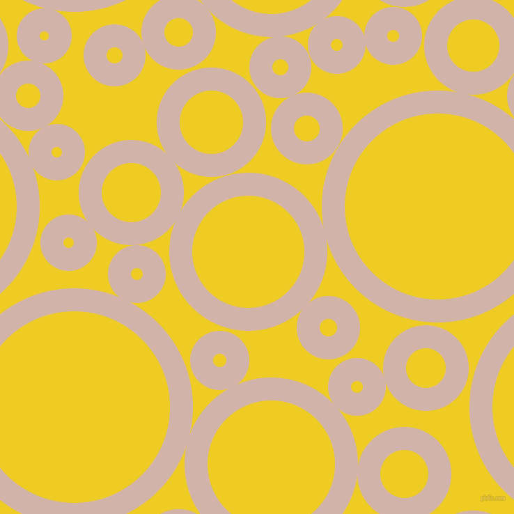 bubbles, circles, sponge, big, medium, small, 33 pixel line width, Clam Shell and Broom circles bubbles sponge soap seamless tileable