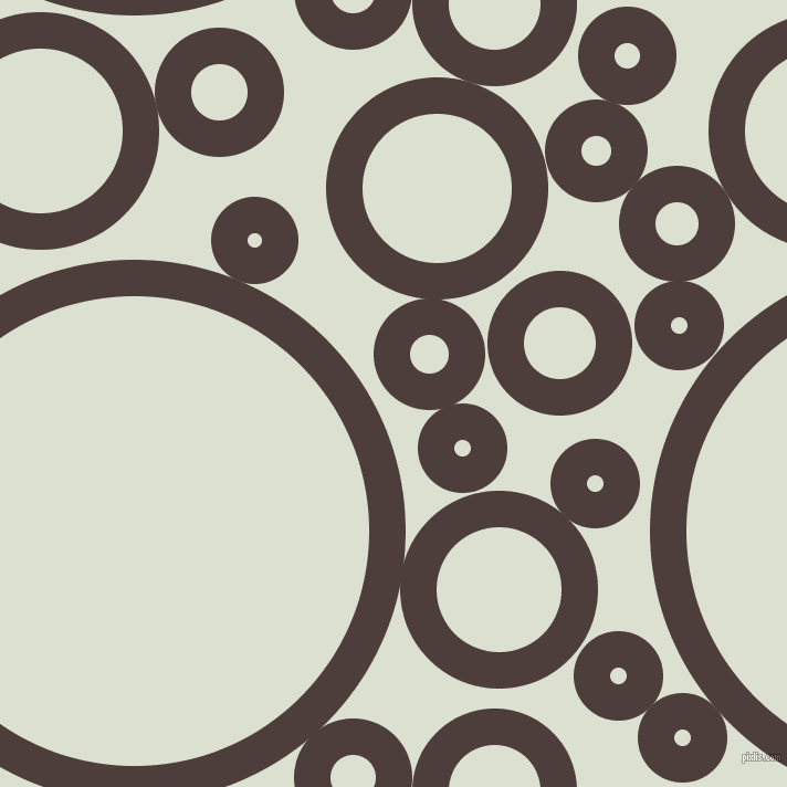 bubbles, circles, sponge, big, medium, small, 33 pixel line width, Crater Brown and Feta circles bubbles sponge soap seamless tileable