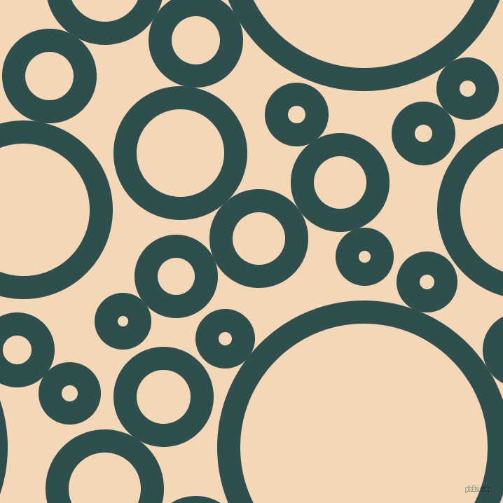 bubbles, circles, sponge, big, medium, small, 33 pixel line width, Dark Slate Grey and Pink Lady circles bubbles sponge soap seamless tileable