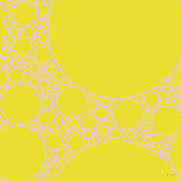 bubbles, circles, sponge, big, medium, small, 5 pixel line width, Dust Storm and Golden Fizz circles bubbles sponge soap seamless tileable